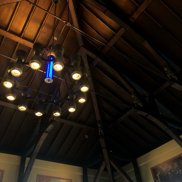 Meet your Posher, Marleen - Picture 1 of 1